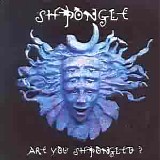 Shpongle - Are you Shpongled?