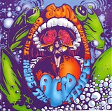 Liquid Sound Company - Inside The Acid Temple