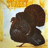 Wild Turkey - Turkey