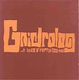 Gnidrolog - ...in Spite Of Harry's Toe-nail