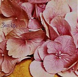 Still Life - Still Life