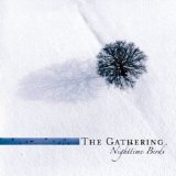 Gathering - Nighttime Birds