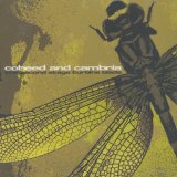 Coheed and Cambria - The Second Stage Turbine Blade
