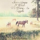 Bill Callahan - Sometimes I Wish We Were An Eagle