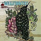 The Wallflowers - Rebel, Sweetheart