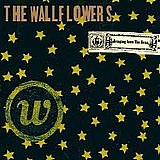 The Wallflowers - Bringing Down The Horse