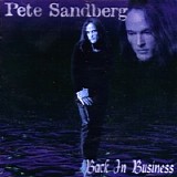 Pete Sandberg - Back In Business