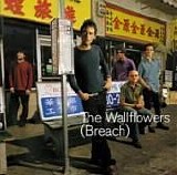 Wallflowers - Breach
