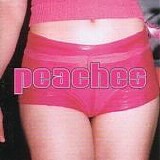 Peaches - The Teaches Of Peaches