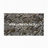 Various artists - Widescreen:16:9:V1