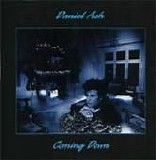 Daniel Ash - Coming Down