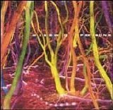 Missing Persons - Lost Tracks