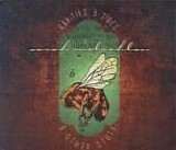 Sarah McLachlan - Rarities, B-sides & Other Stuff