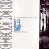 Celebrate The Nun - Meanwhile
