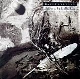 David Sylvian - Secrets Of The Beehive