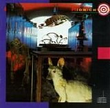 Midnight Oil - Species Deceases