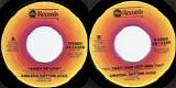 Amazing Rhythm Aces - Ashes Of Love/All That I Had Left (With You) (US)