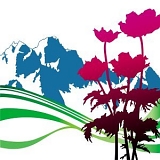 New Order - International (Disc 1)