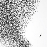 Wilco - Sky Blue Sky