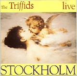 The Triffids - Stockholm - Live