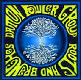 Damon Fowler Group - Roots And Branches