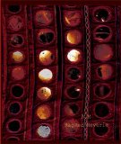 A.M - Rag Red Reverie