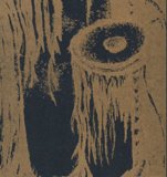 Barn Owl - Raft Of Serpents