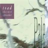 Toad the Wet Sprocket - Pale
