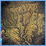 Various artists - Passion Sources