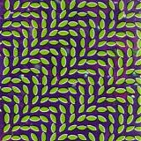 Animal Collective - Merriweather Post Pavillion