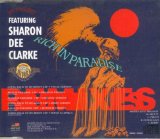 FPI Project Feat. Sharon Dee Clarke - Rich in Paradise