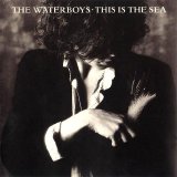 The Waterboys - This Is the Sea