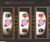 James - I Know What I'm Here For (1999 Single)