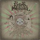 Enter Shikari - Take to the Skies