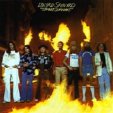 Lynyrd Skynyrd - Street Survivors