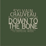 Sylvain Chauveau - Down To The Bone