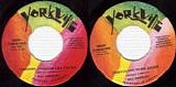 Bill Amesbury - Virginia (Touch Me Like You Do)/That Close To Me Again (Canada)