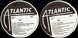 Tori Amos - In The Springtime Of His Voodoo (12" single) (US Promo)