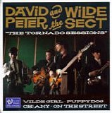 David Peter And The Wilde Sect - The Tornado Sessions