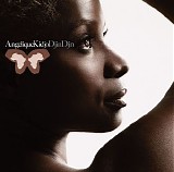 Angélique Kidjo - Djin Djin (2007)