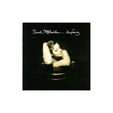 Sarah McLachlan - Surfacing