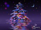 Various artists - Wonderful Christmas