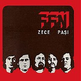 FFN - Zece Pasi