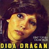 Dida Dragan - Anii