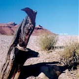 Jucifer - War Bird