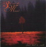 The 3rd And The Mortal - Tears Laid In Earth