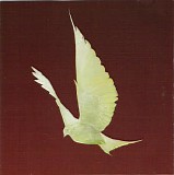 Floor - Dove