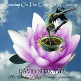 David Surkamp - Dancing On The Edge Of A Teacup