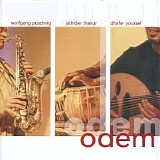W. Pushing/J. Thakur/D. Youssef - Odem
