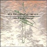 The Golden Palominos - Drunk with Passion
